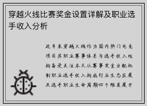 穿越火线比赛奖金设置详解及职业选手收入分析