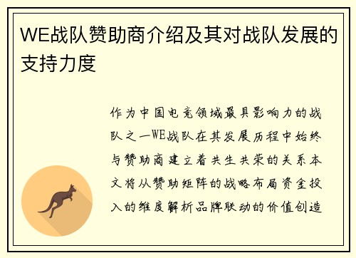 WE战队赞助商介绍及其对战队发展的支持力度