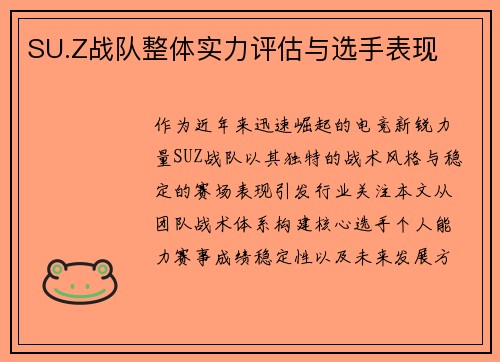 SU.Z战队整体实力评估与选手表现